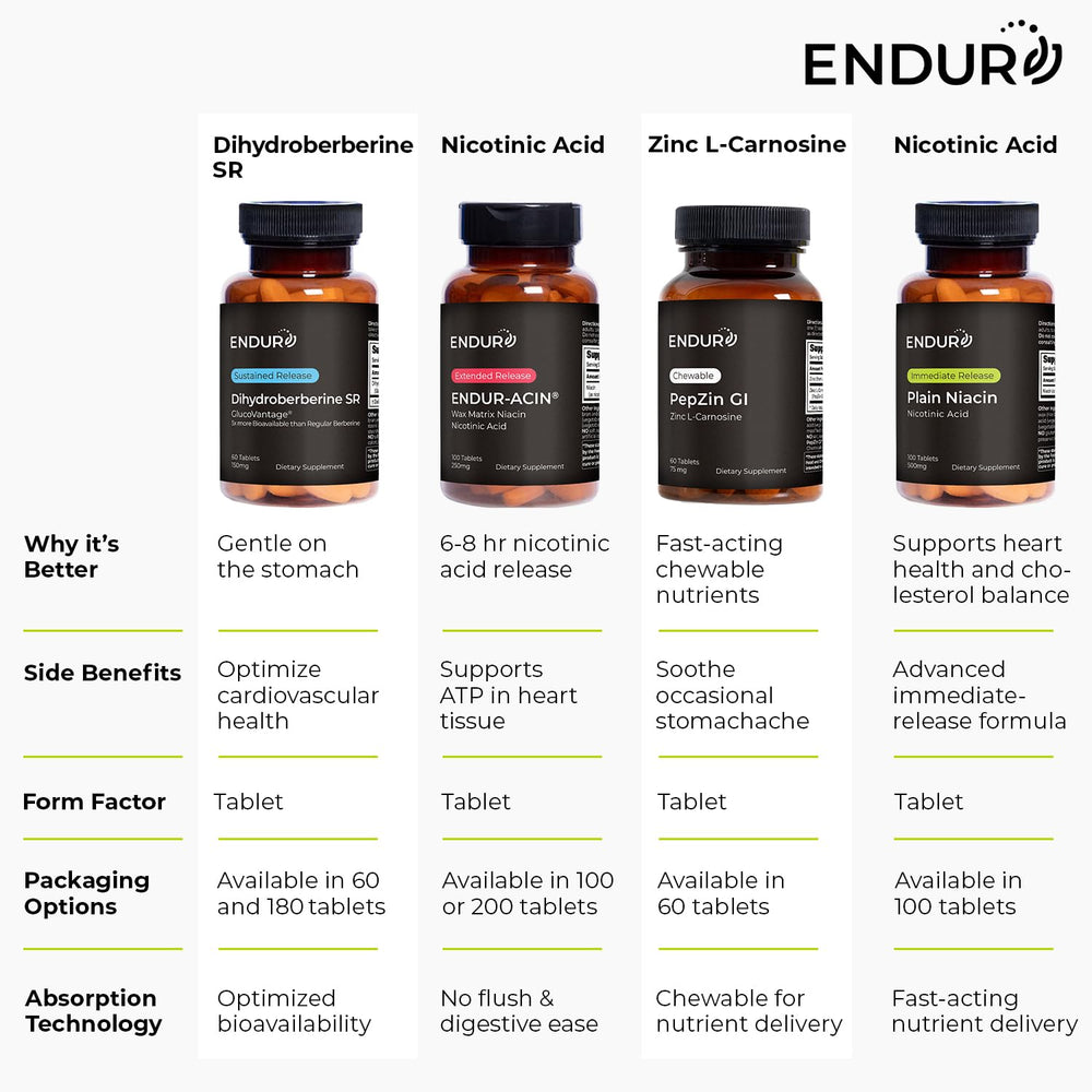 Endurance ENDUR Dihydroberberine graphic highlights 5x bioavailability.