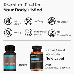 Endur Dihydroberberine SR bottle with tablets arranged for convenient daily dosing.