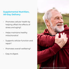 Endurance RIAGEV niacinamide panel emphasizes NAD+ pathway support