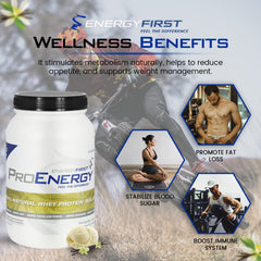 EnergyFirst vanilla whey protein isolate scoop resting on kitchen counter.