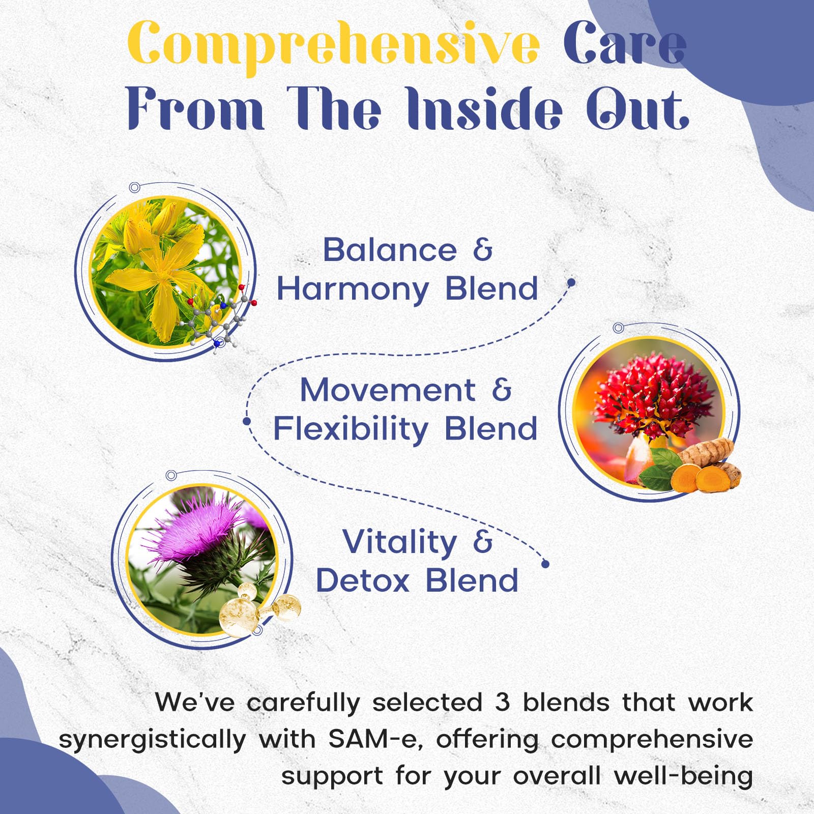 Enerlix bottle label detailing vegan and gluten-free formula