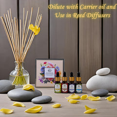 Enhanced Essentials diffuser usage image showing oils in a room ambiance