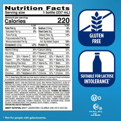 Ensure Original Milk Chocolate snack-time bottle – satisfying between errands