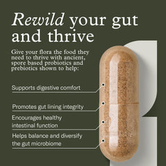 Enviromedica Terraflora Daily Care gut scene suggests daily wellness and ease.