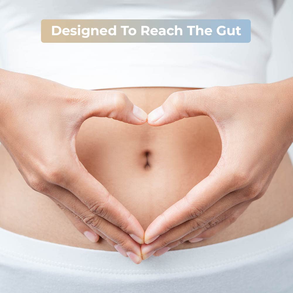 Envitamin Slimbiosys daily-use routine arrangement suggests easy integration.