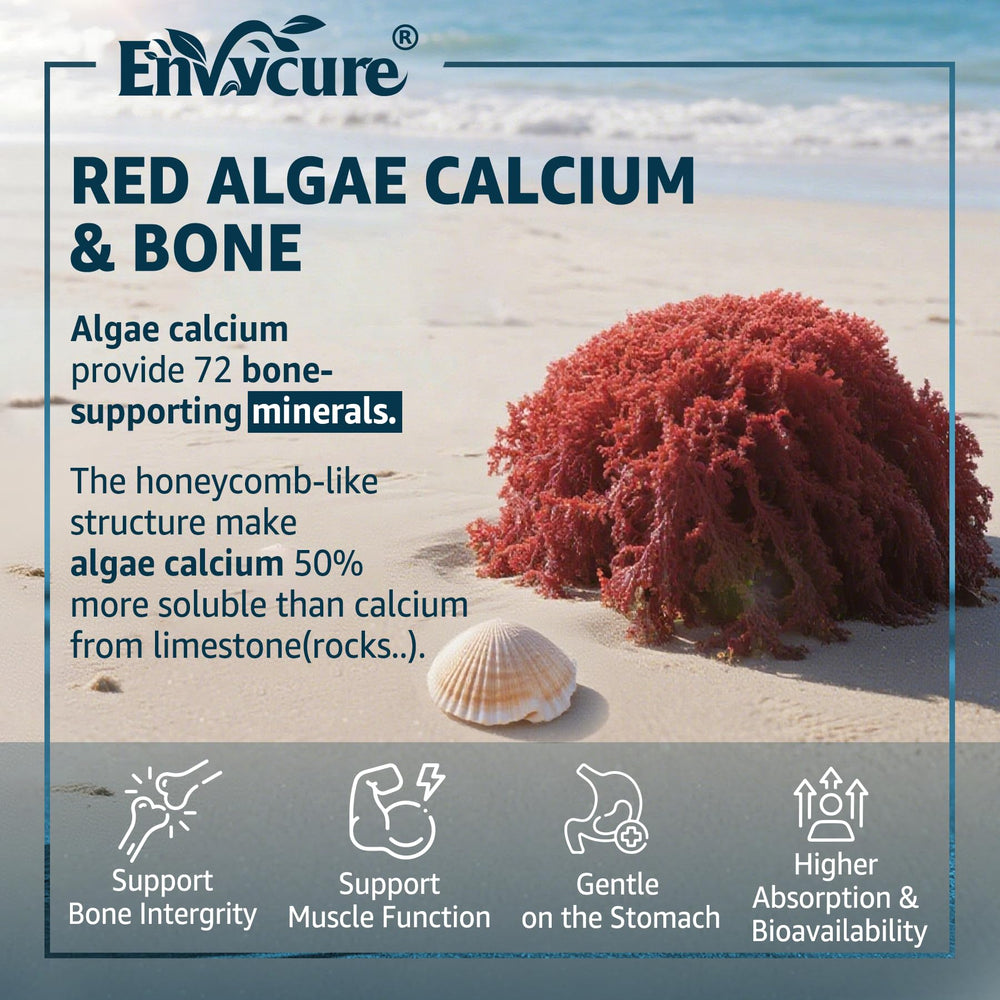 EnvyCure gummies label shows 800 IU D3 for absorption and bone vitality.