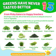 Green blend of spinach and spirulina in EnvyCure kids greens.