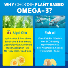 EnvyCure omega-3 gummies close-up of liposomal coating showing improved absorption