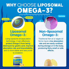 Graphic of liposomal encapsulation illustrating advanced absorption
