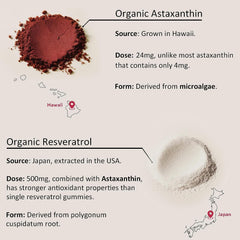 EnvyDeal Coconut oil visual highlighting enhanced absorption.