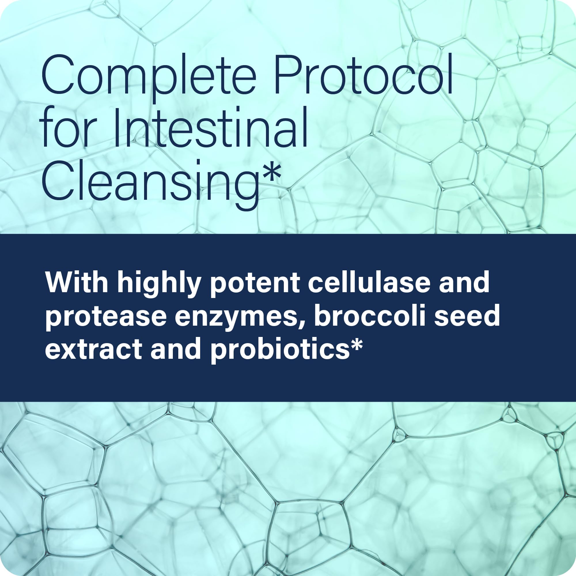 Enzyme Science Candidase Pro probiotic culture illustration with 1B CFU for balance