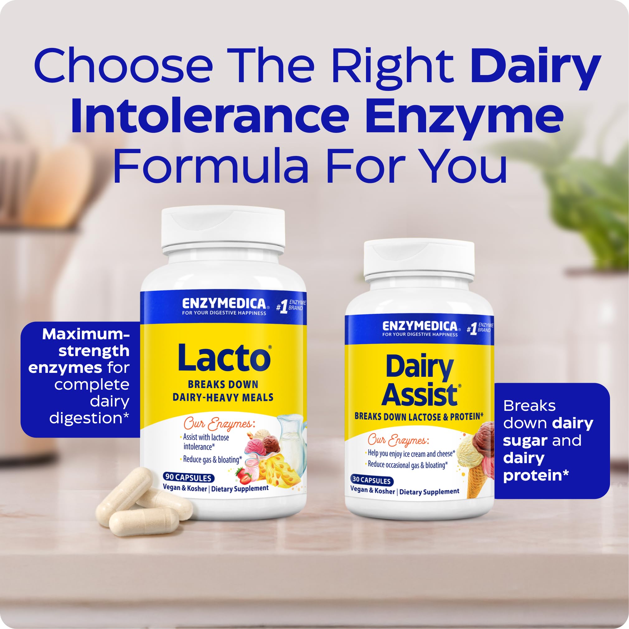 Serving ideas with cheese and dessert pairings alongside Enzymedica Lacto.