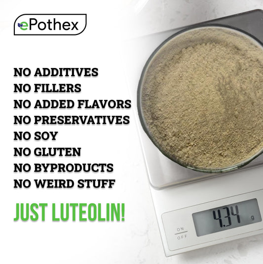 Close-up of Epothex Pure Luteolin Powder texture for easy dosing.