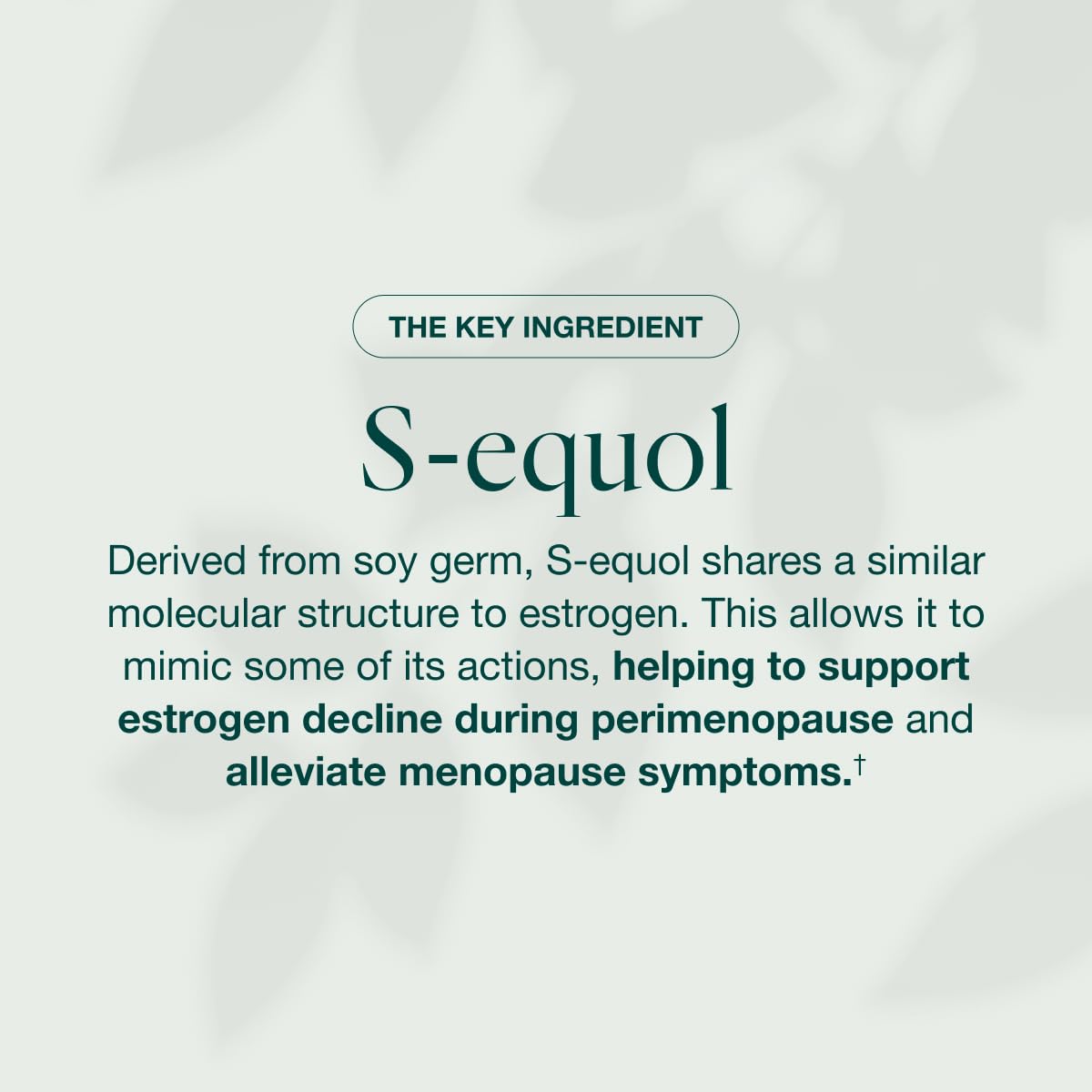 Equelle daily dosage scene shows two tablets for ongoing menopause support.