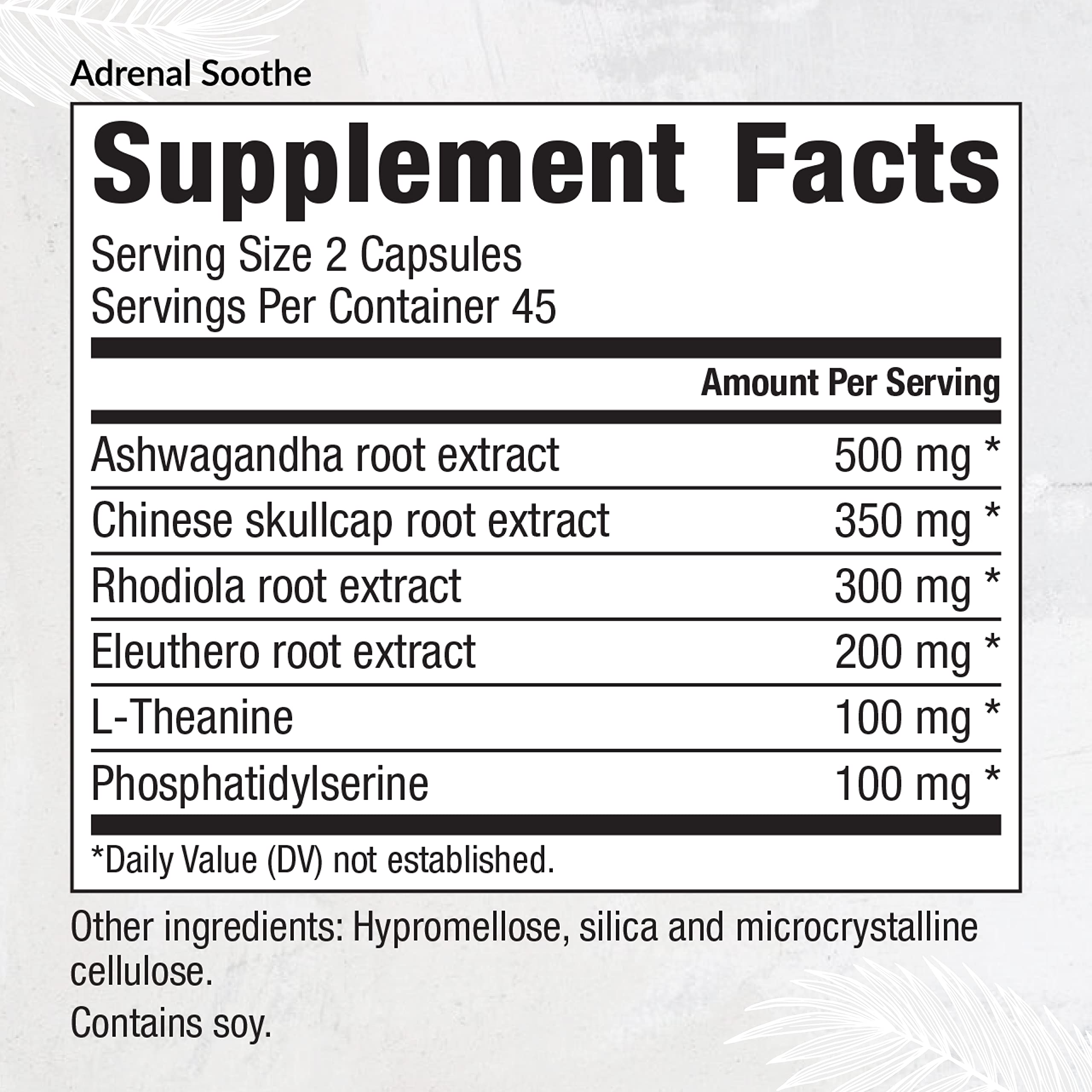 EquiLife Ashwagandha capsules on display supporting steady energy and mood.