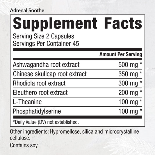 EquiLife Ashwagandha capsules on display supporting steady energy and mood.