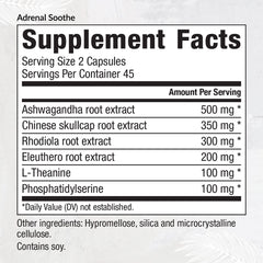 EquiLife Ashwagandha capsules on display supporting steady energy and mood.