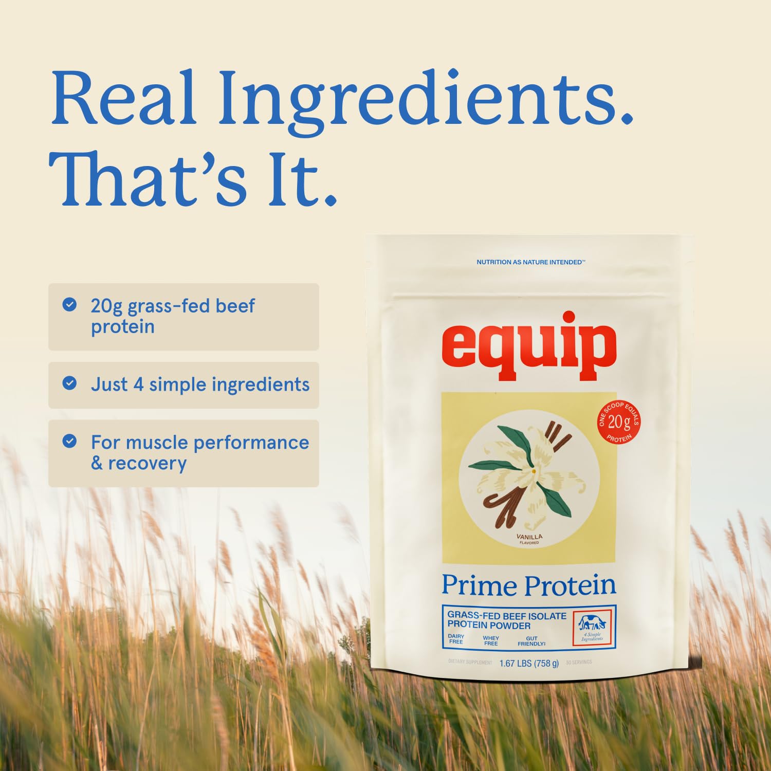 Dessert-ready Prime Protein in a bowl suggests healthy, protein-forward treats.