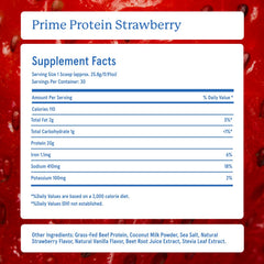 Ingredients panel on Equip Prime Protein Powder reveals clean, dairy-free profile.
