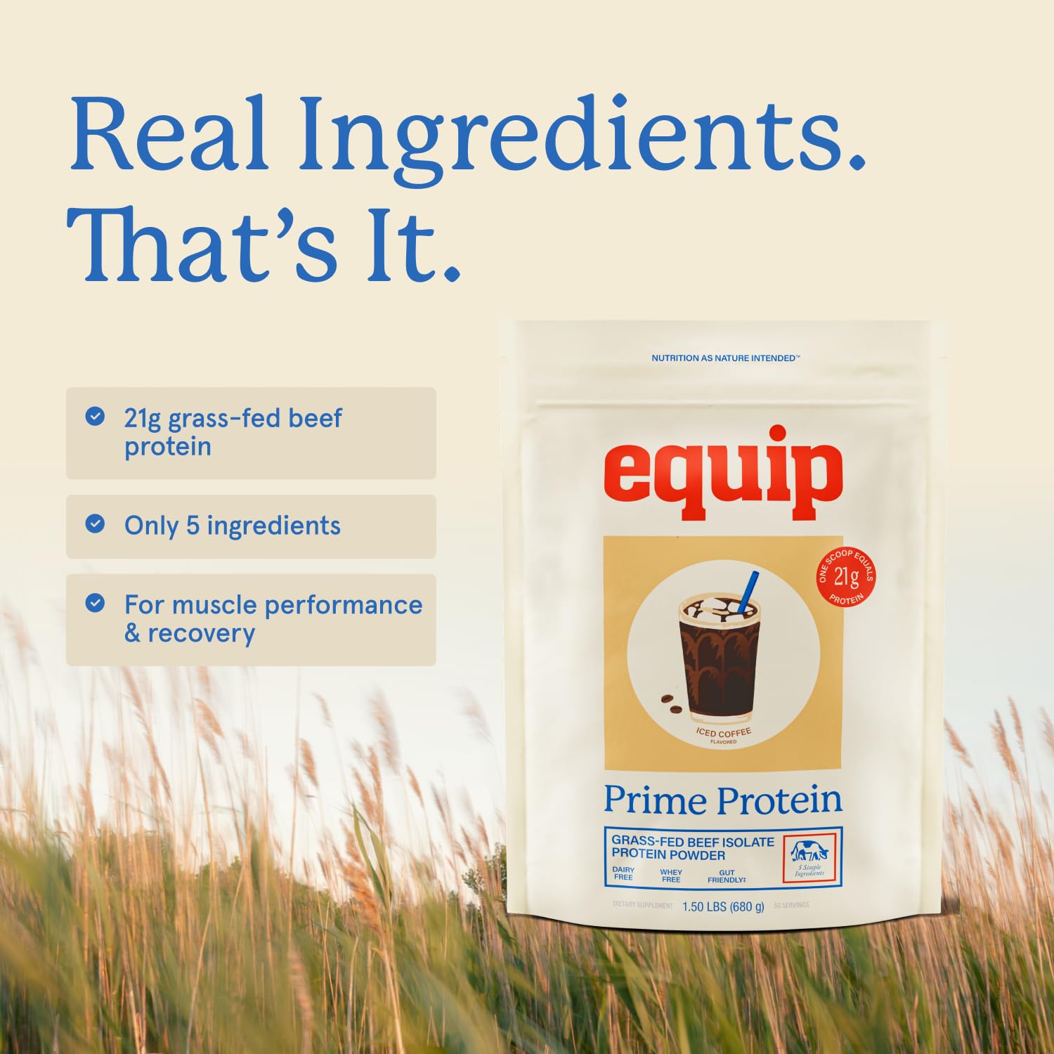 Equip Prime Protein scoop resting on the countertop.