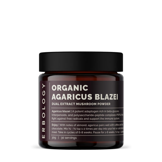 Erbology Agaricus blazei dual extract powder jar; supports immune balance and heart health.