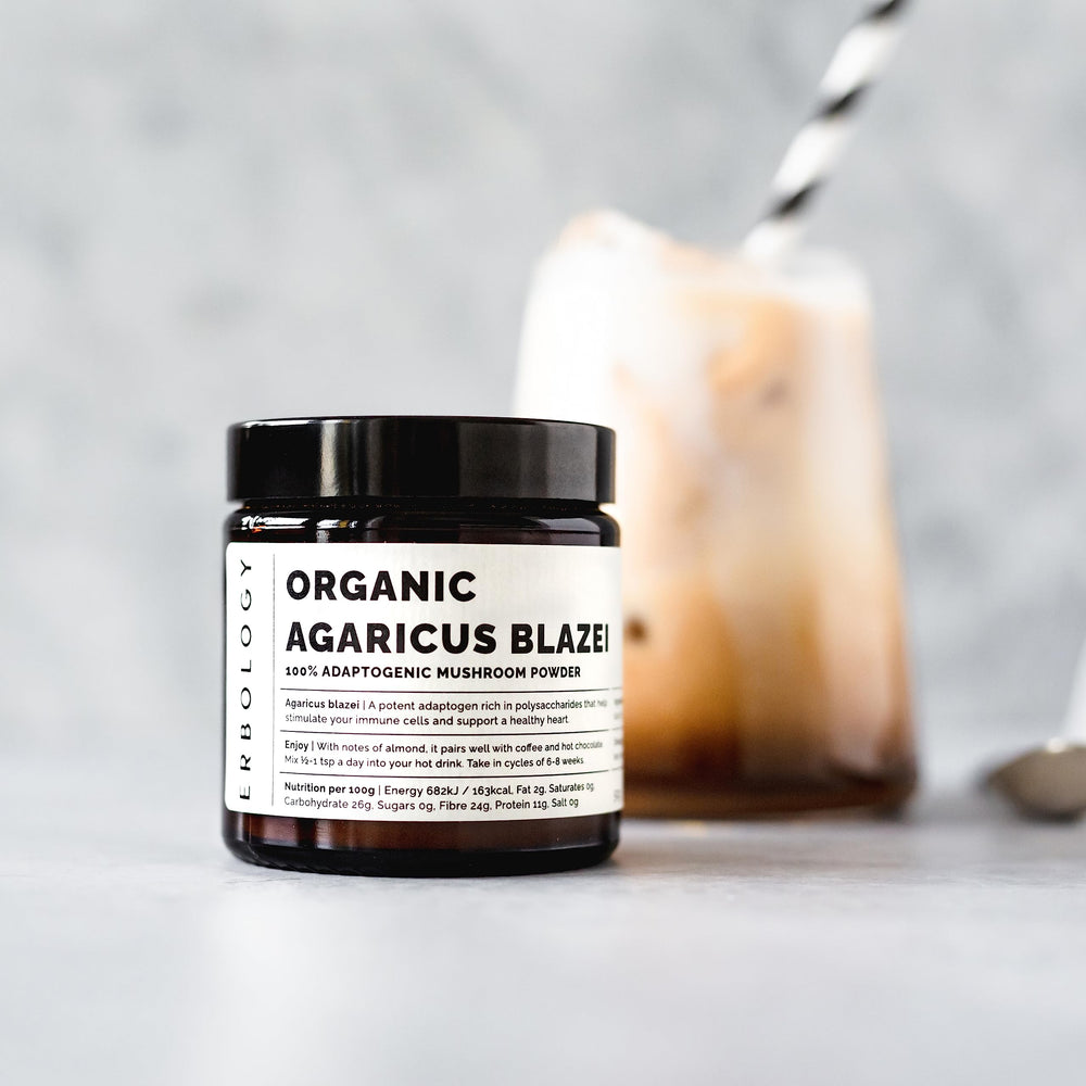 Agaricus Blazei powder in a coffee mug, blending with a natural flavor.