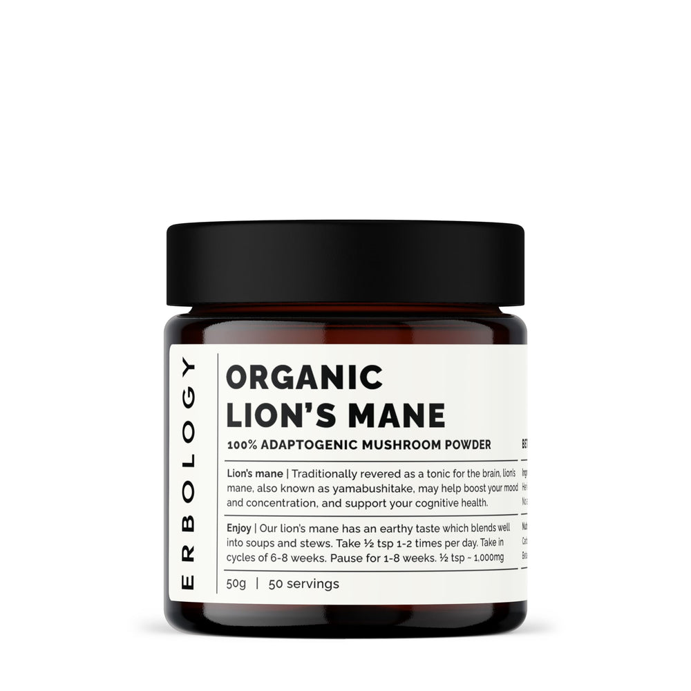 Erbology Lion's Mane powder in amber jar for daily use and natural nutrition