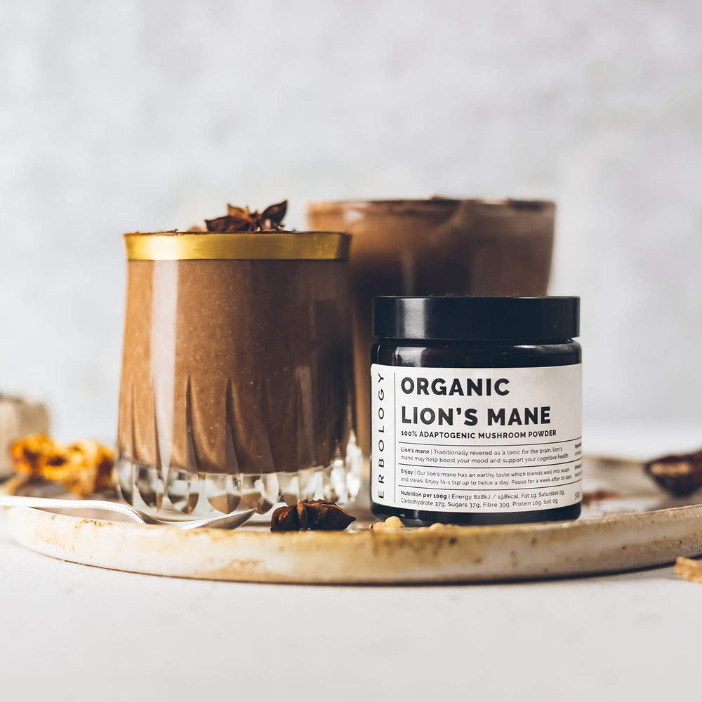 Measuring scoop with Erbology Lion's Mane powder for easy daily dosing