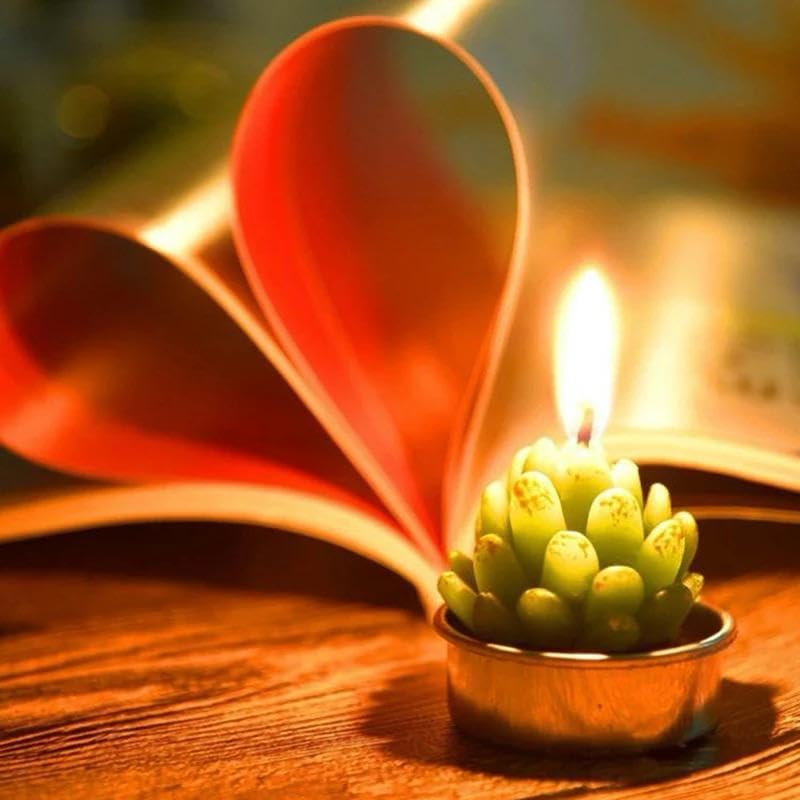 ESOTHERIC gift packaging emphasizes a thoughtful, ready to give presentation.
