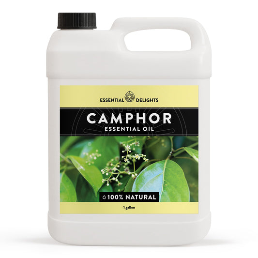 Essential Delights camphor oil bottle closeup for potent topical blends