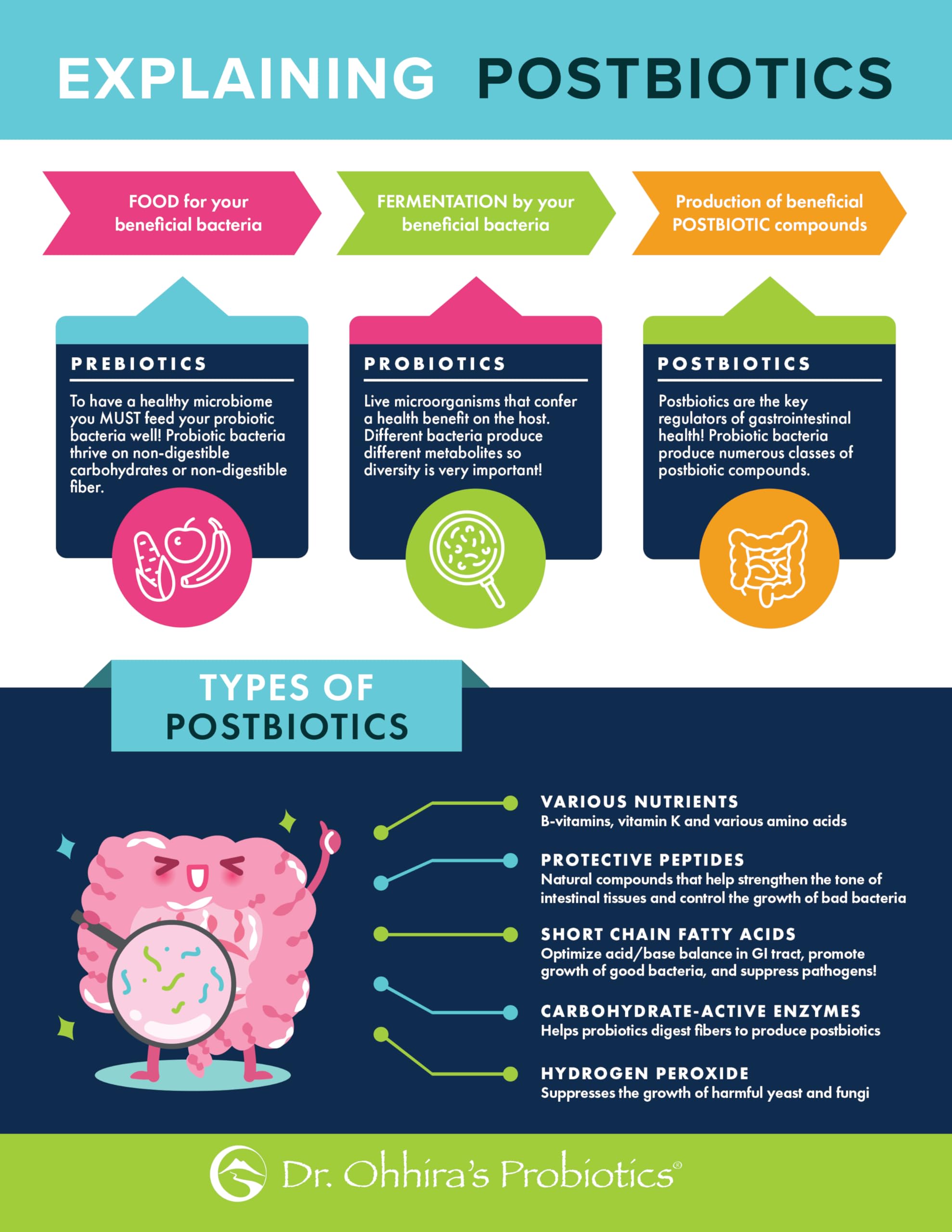 Essential Formulas three-year fermentation process enhances probiotic stability.