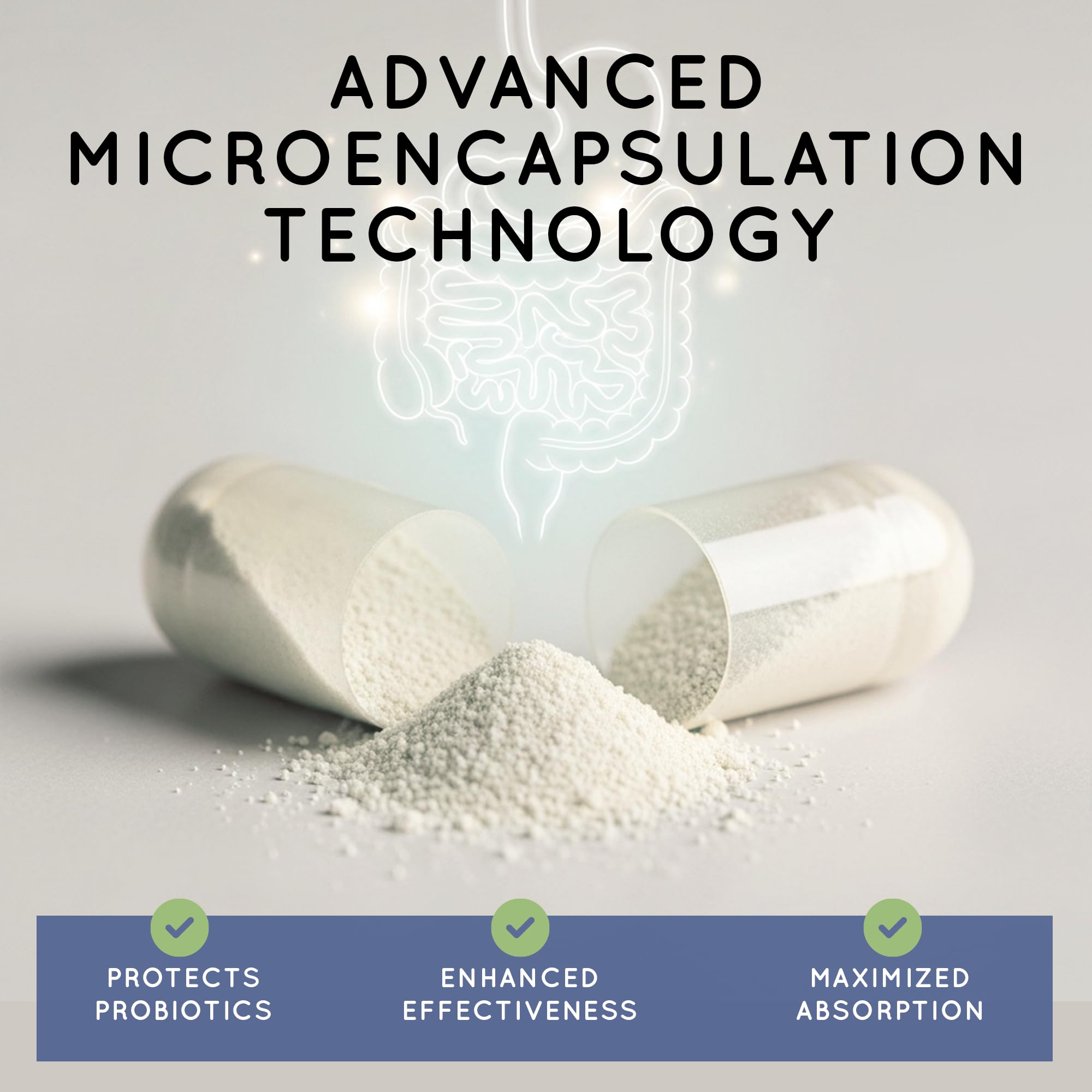 Digestive enzymes scene with TriActive Biotics supporting nutrient absorption.