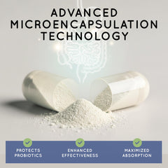 Digestive enzymes scene with TriActive Biotics supporting nutrient absorption.