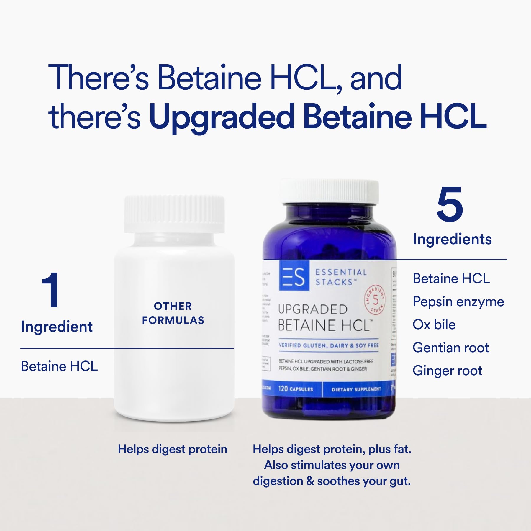 Essential Stacks Ox Bile capsules closeup emphasizing fat digestion support