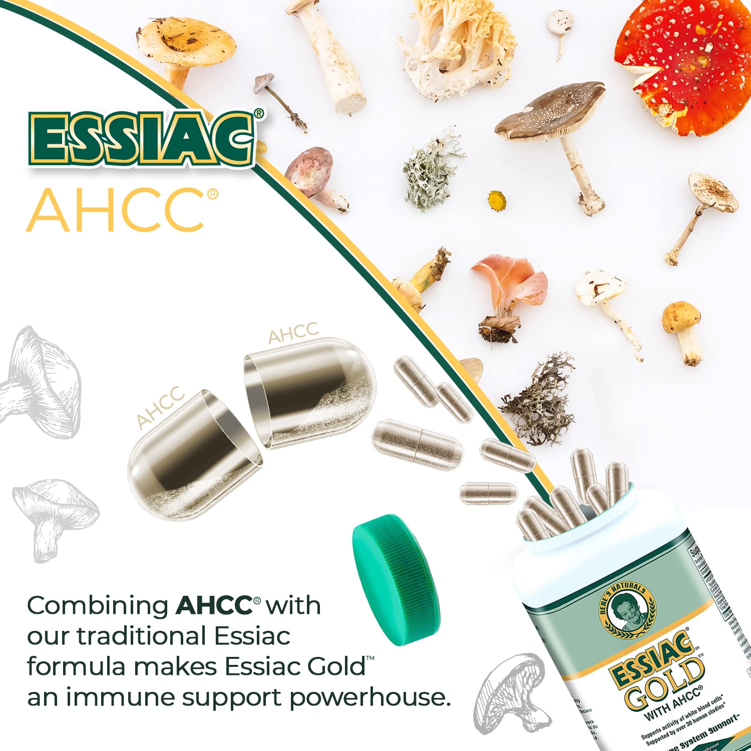 Essiac Gold AHCC label and ingredients list for transparency.
