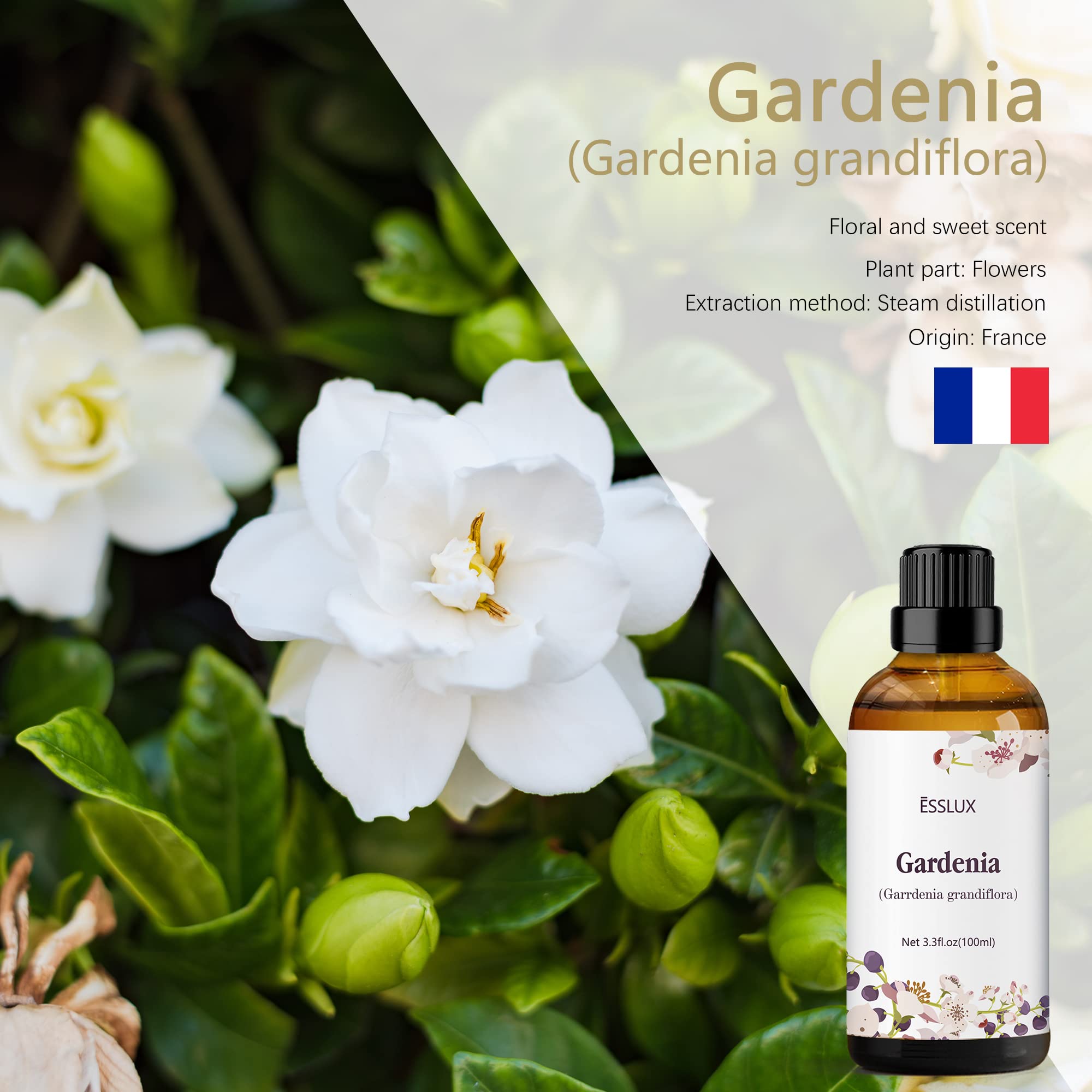 ESSLUX Gardenia essential oil in a diffuser-ready bottle for home fragrance.