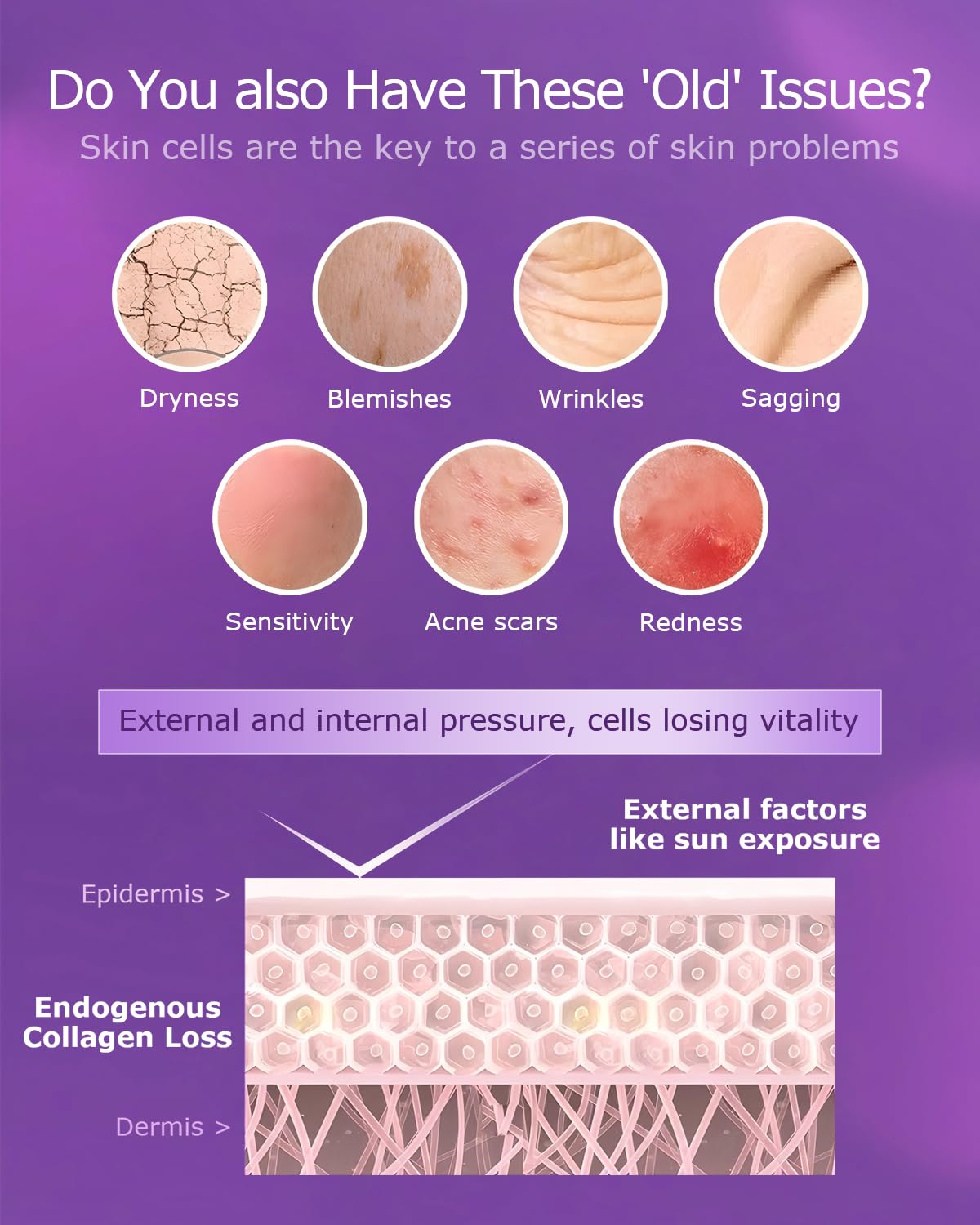 ESTHELIV Cellular Skin Recovery with PQQ highlight for cellular focus