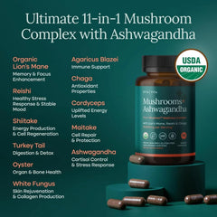 Etta Vita Ashwagandha mushroom capsules for adaptogenic balance.