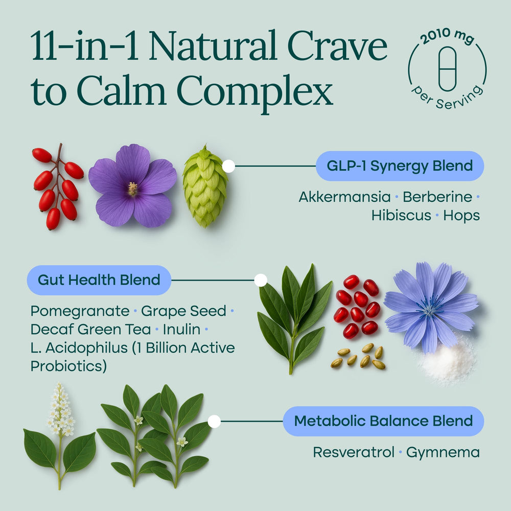 Etta Vita Berberine-EGCG blend label focuses on metabolic wellness and energy balance