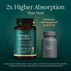 Etta Vita Fadogia Agrestis 600mg packaging with branding reinforces trust.