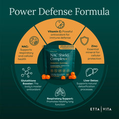 Etta Vita NAC with Vitamin C and Zinc icons signaling synergy.