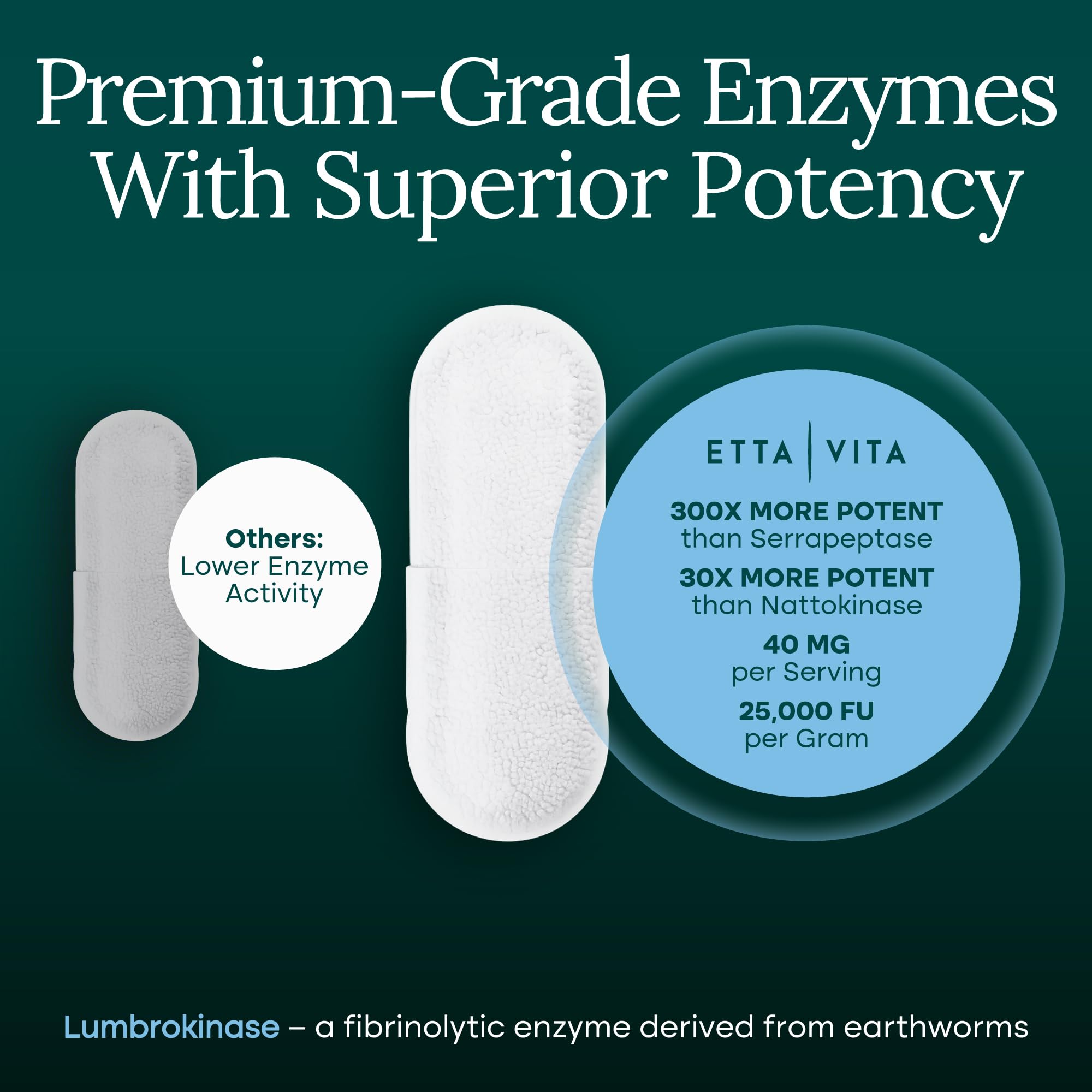 Graphic illustrating digestive enzyme delivery in the gut
