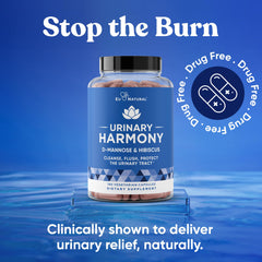 Eu Natural Urinary Harmony hibiscus extract illustration for urinary balance