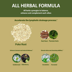Eubrition Plantain herb tincture showcasing natural plant-based support.