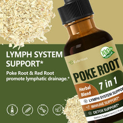 Eubrition Poke Root Drops closeup showing herbal blend for lymph flow.