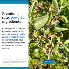 Dosage guidance on Euromedica Ashwagandha Complex packaging for daily use.