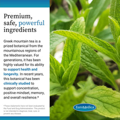 Greek mountain tea leaves featured in EuroMedica Cognitive Health Plus for focus.