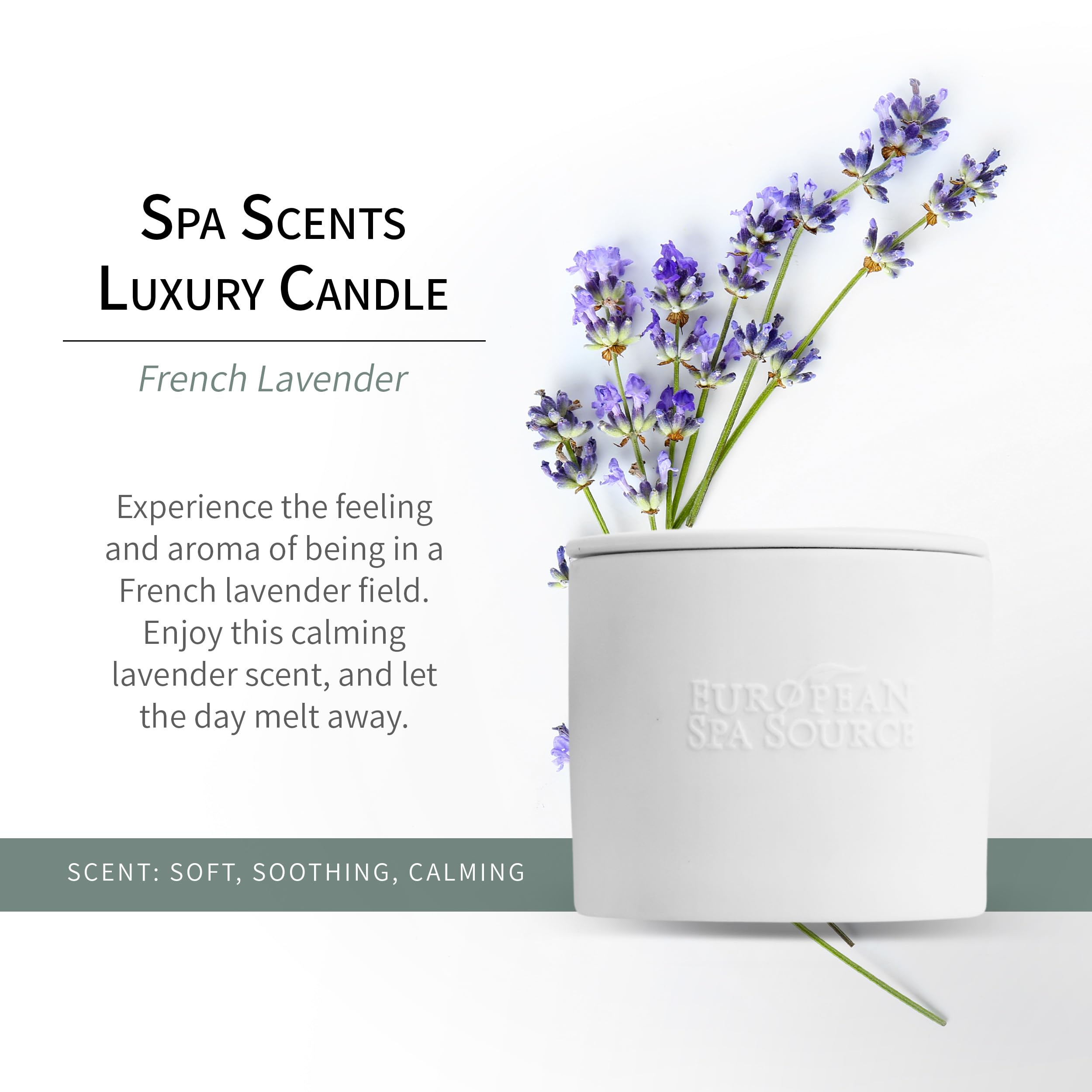 European Spa Source French Lavender candle wax close-up showing soy blend and clean burn.