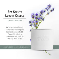 European Spa Source French Lavender candle wax close-up showing soy blend and clean burn.