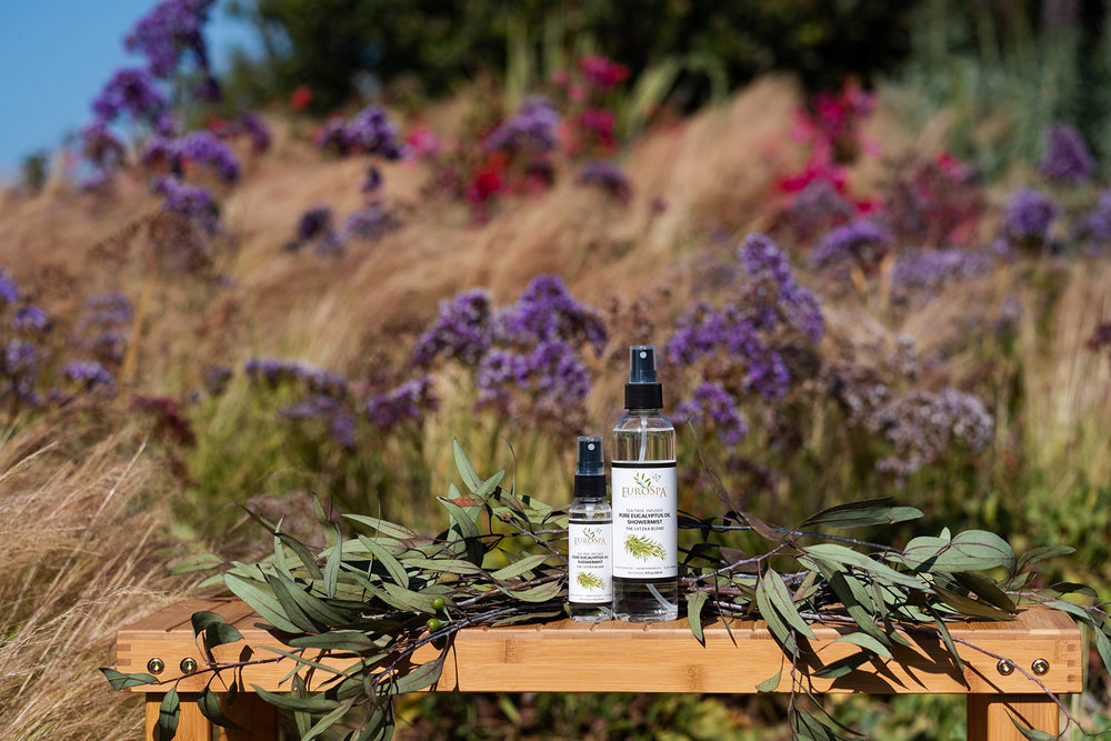 EuroSpa Aromatics scent diffusing through a standard shower